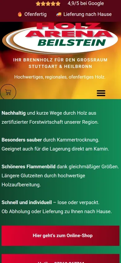 Startseite von holzarena-beilstein.de auf dem Smartphone